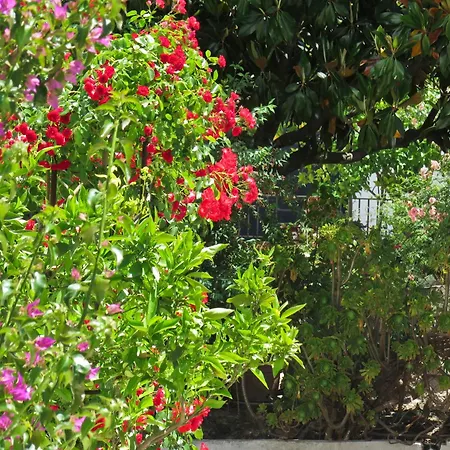 Casa Centrica Con Bonito Jardin Con 3 Dormitorios Holiday home Aracena
